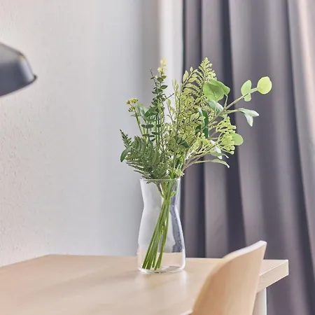 Ida, The Suburban Nearby Cologne